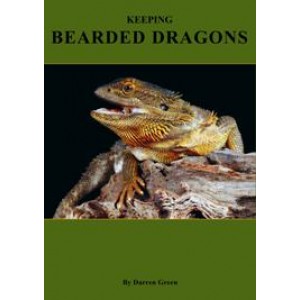 Keeping Bearded Dragons