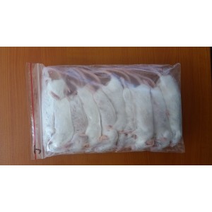 Frozen Mice - Extra-large - 7 Pack