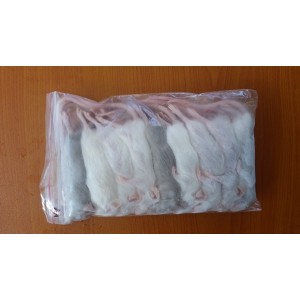 Frozen Mice - Weaner - 7 Pack