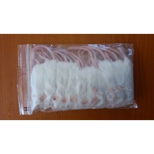 Frozen Mice - Hopper - 10 Pack