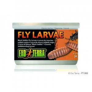 Exo Terra Canned Black Soldier Fly Larvae