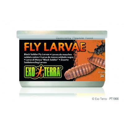 Exo Terra Canned Black Soldier Fly Larvae
