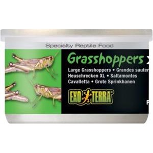 Exo Terra Canned Grasshoppers Extra Large