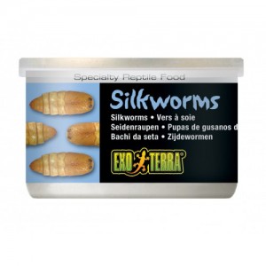 Exo Terra Canned Silkworms