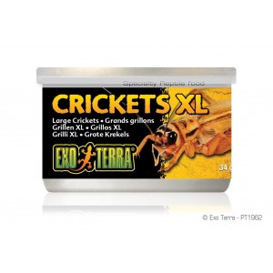 Exo Terra Canned Crickets XLarge