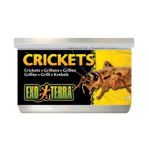 Exo Terra Canned Crickets