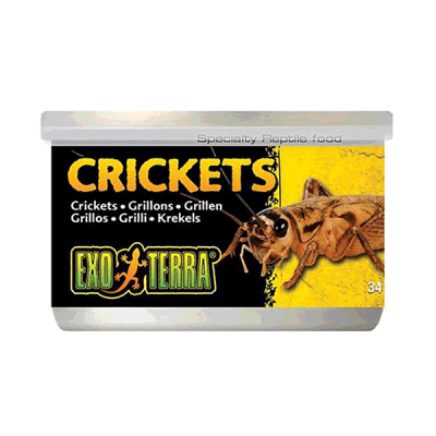 Exo Terra Canned Crickets Small