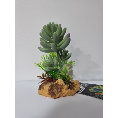 Eco Tech Twin Cactus Unit 12cm