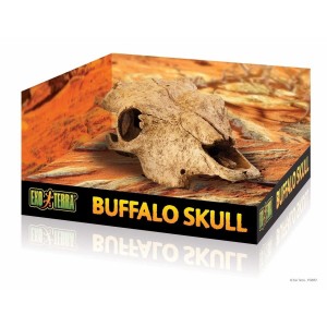 Buffalo Skull Exo Terra