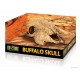 Buffalo Skull Exo Terra