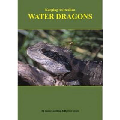 Keeping Australian Water Dragons